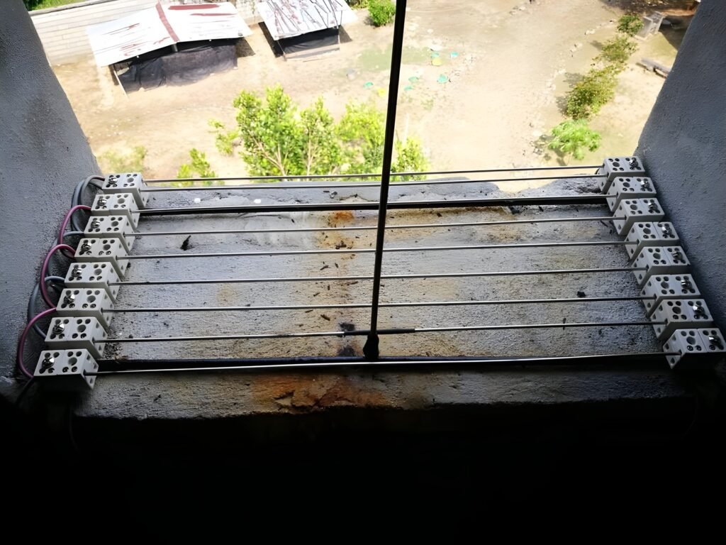 Looking out from inside a swiftlet house at midday: bright daylight outside the entrance hole, pitch dark inside - MDK Swiftlet