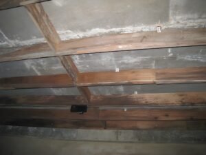 燕屋天花上的燕板，板面有霉斑与水渍 — MDK Swiftlet