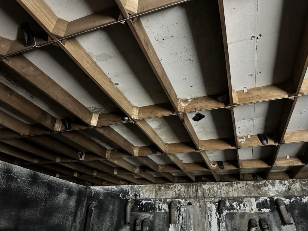 Nesting planks above blackened, mouldy walls