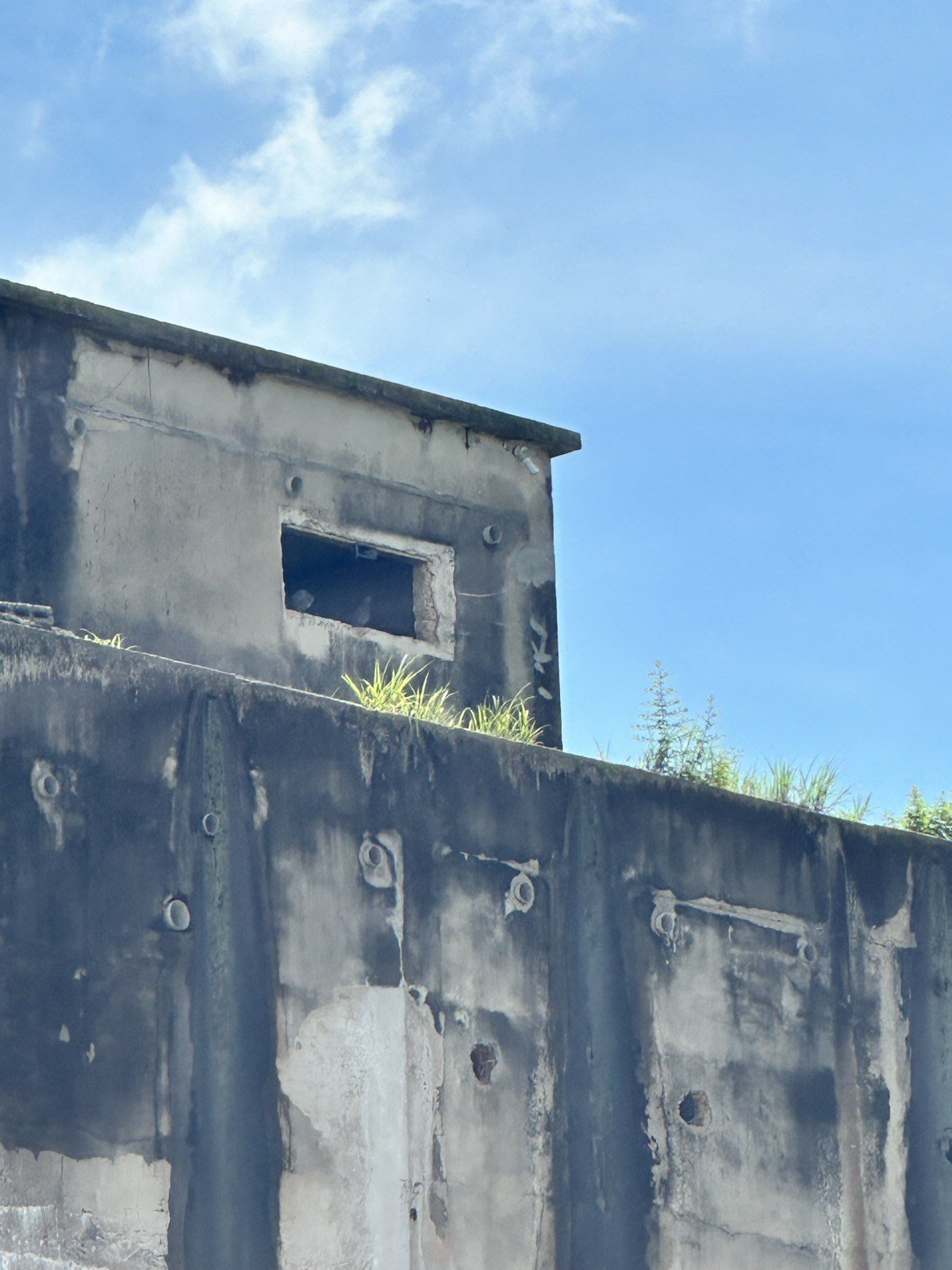 Looking up at an entrance hole near the roof of a swiftlet house