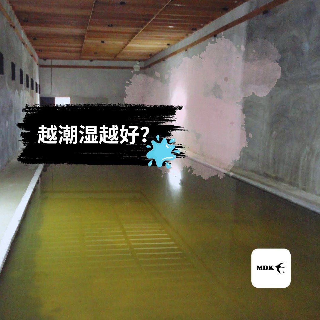 整层地面泡在水里的燕屋