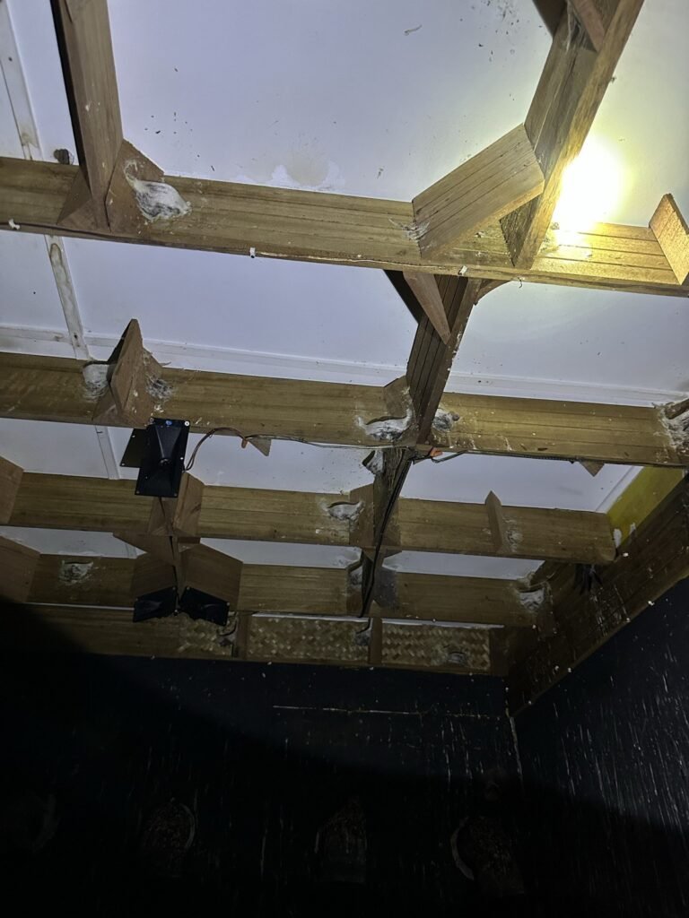 Tweeter on a nesting plank with nest bases close by