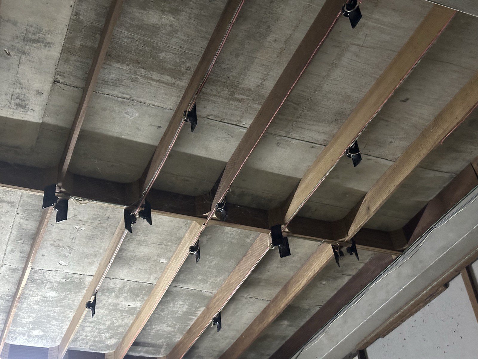 Tweeters on the nesting planks