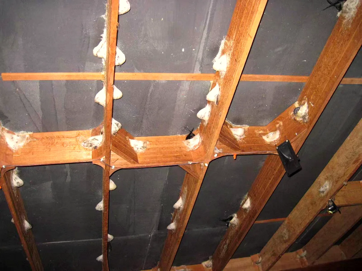 Inside a swiftlet house, nests on the nesting planks